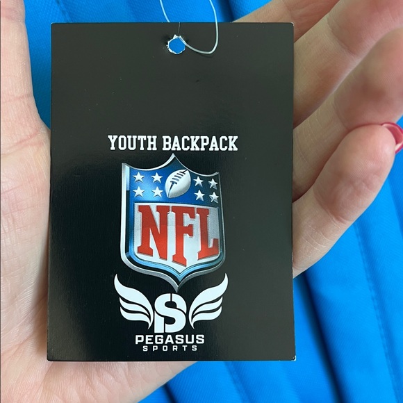 Detroit Lions Backpack - Picture 7 of 7